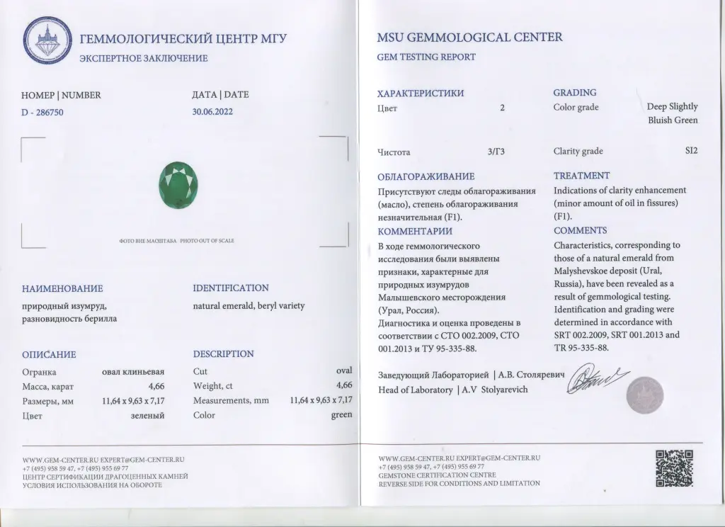 2843NV011_5.jpg